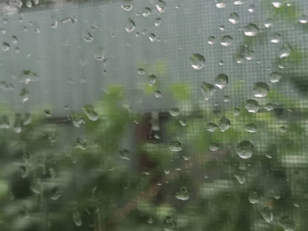 Погода на завтра – 4 сентября – в Новосибирске