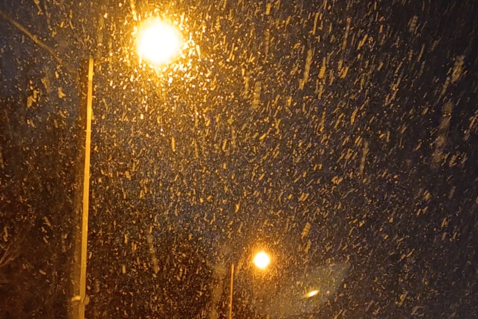 Аномальная оттепель в Новосибирске побила 40-летний рекорд