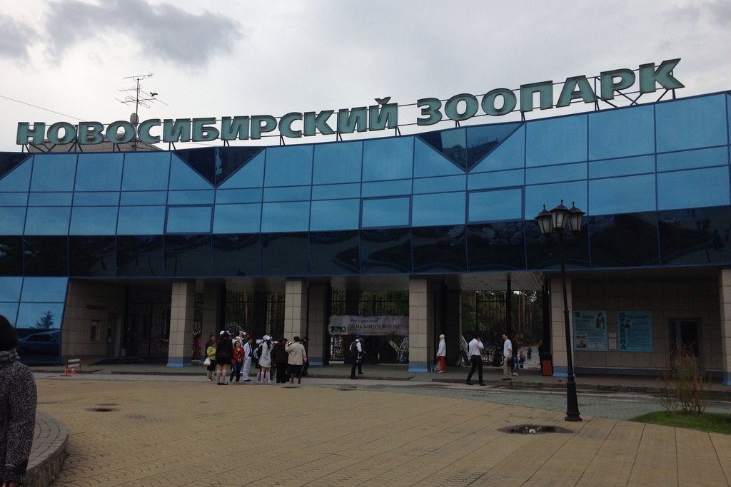 В Новосибирском зоопарке появятся «Азия»