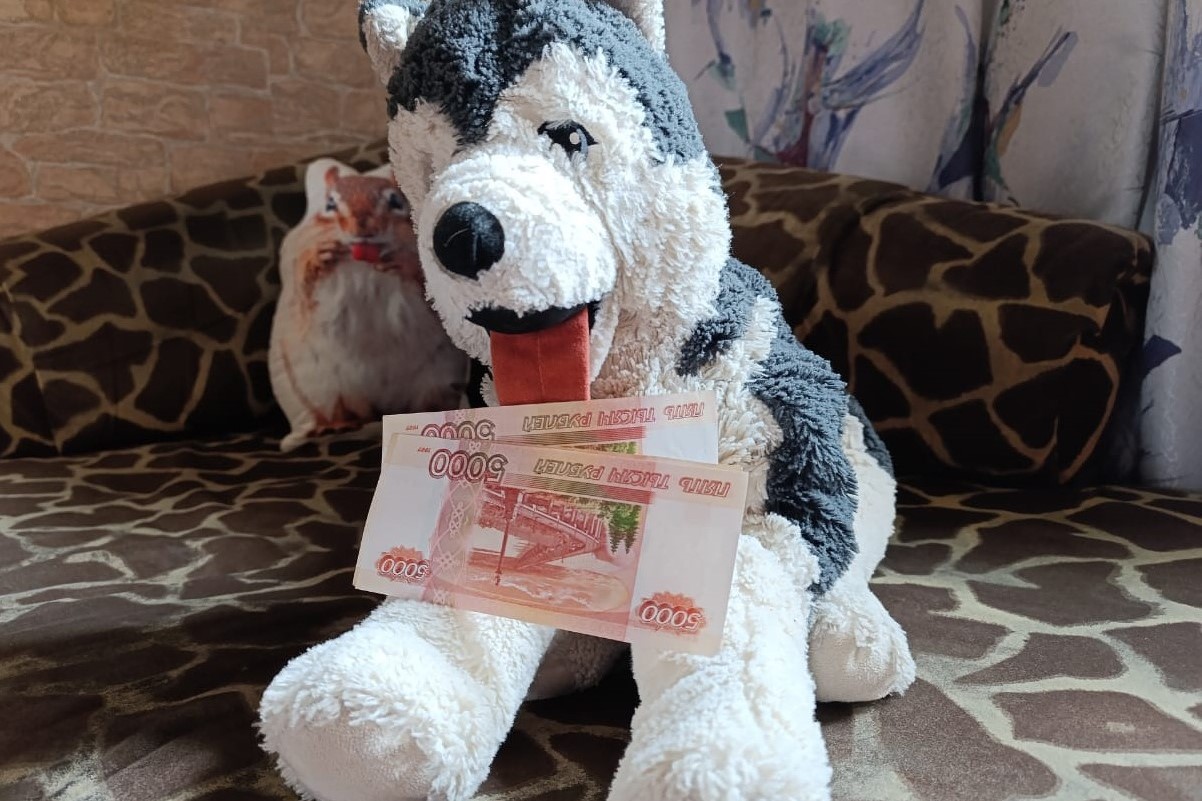 В Новосибирске с 1 января увеличили размеры детских пособий