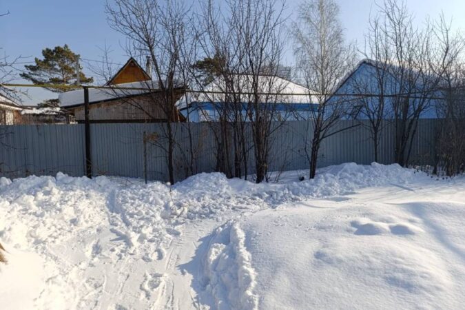 Новосибирский агроном предсказал нашествие колорадского жука