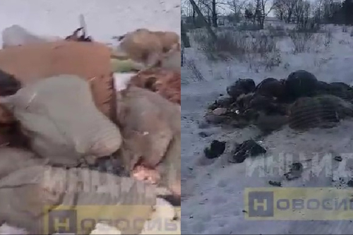 Полиция разыскивает хозяина скотомогильника под Новосибирском