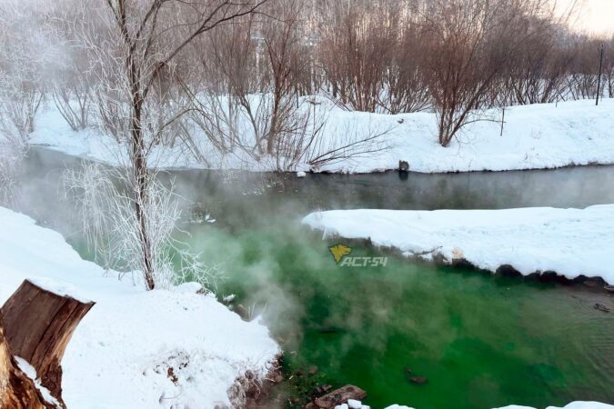 Жителей Новосибирска напугал ядовито-зеленый цвет реки Каменки