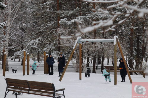 Охранников за 9 млн для парков ищут под Новосибирском