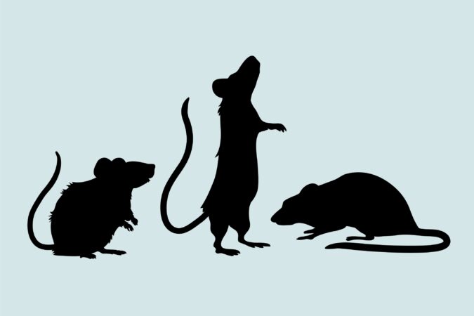 Новосибирский агроном назвал способ спасения деревьев после нашествия мышей