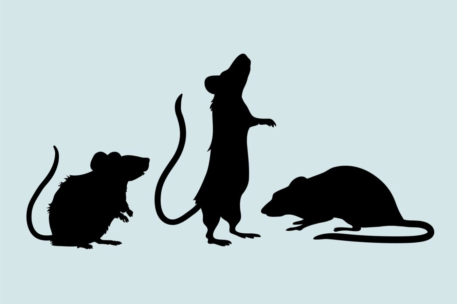 Новосибирский агроном назвал способ спасения деревьев после нашествия мышей