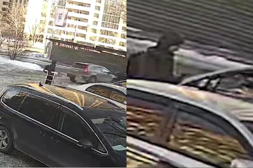 Таксист выстрелил в пассажира со стремянкой в центре Новосибирска