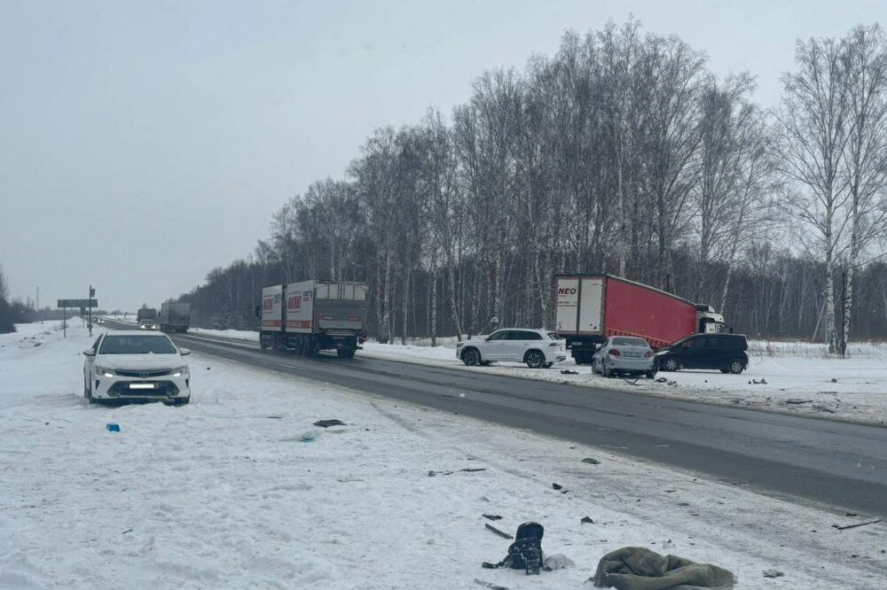 На дорогах Новосибирской области вдвое снизилась детская смертность