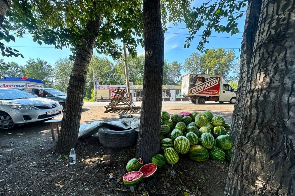 В Новосибирске в 2024 году изъяли 68 тонн незаконных товаров