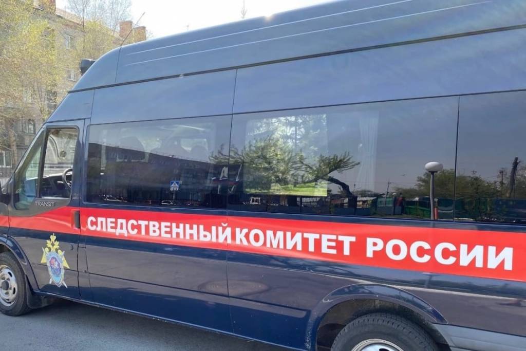 Бастрыкин поручил возобновить дело исчезнувшего новосибирского мальчика