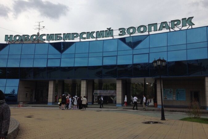 Новосибирский зоопарк увеличил время работы с 11 февраля
