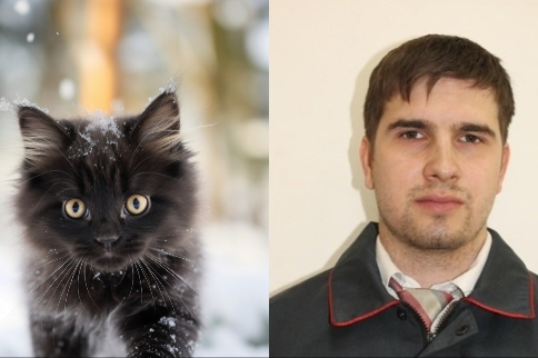 Помощник машиниста поезда спас пугливого котенка в Новосибирске