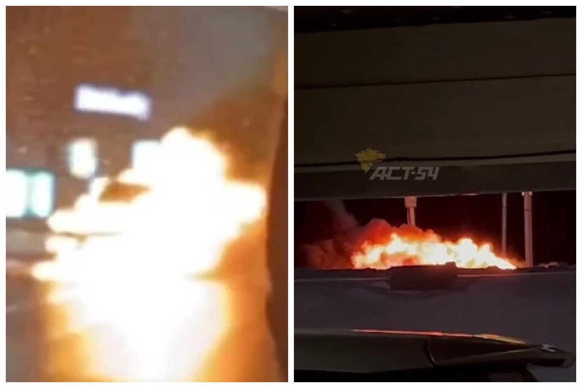 Lexus полностью сгорел на трассе под Новосибирском