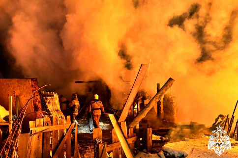 Пожарные спасли от огня козу и 20 куриц под Новосибирском