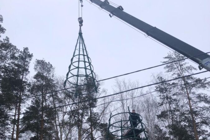 С улиц Новосибирска убирают последние новогодние елки