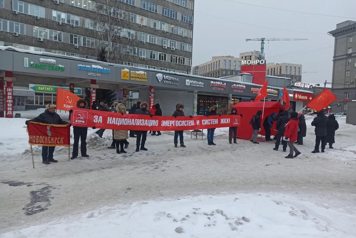 В Новосибирске прошел пикет за национализацию ЖКХ