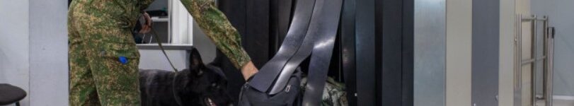 В новосибирском аэропорту Толмачево таможня изъяла 400 кг насвая В новосибирском аэропорту Толмачево таможня изъяла 400 кг насвая