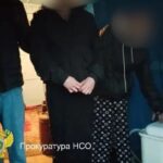 На саночках: под Новосибирском воровка с помощью санок похитила две тонны угля на саночках