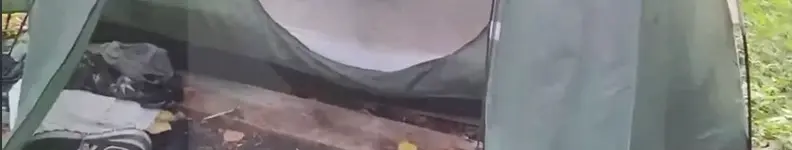 нападение медведя
