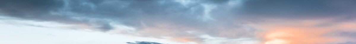Похолодание до +5 обещают синоптики новосибирцам осень пасмурно ветер дождь фото фри пик