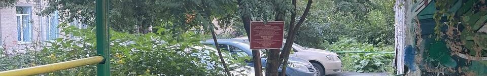 «Ты здоровый лоб, тебе тут не место»: новосибирца облили водой из шланга за отдых на качелях photo_5474345640696420697_y (1)