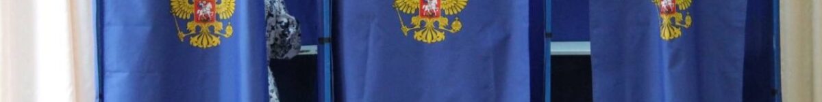 Почти 400 млн: глава новосибирского избиркома озвучила стоимость выборов в НСО