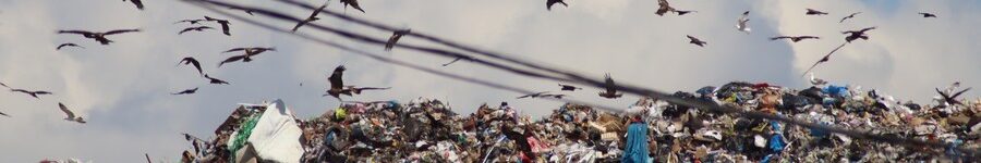 Новосибирские власти утвердили концессию на строительство мусорных полигонов