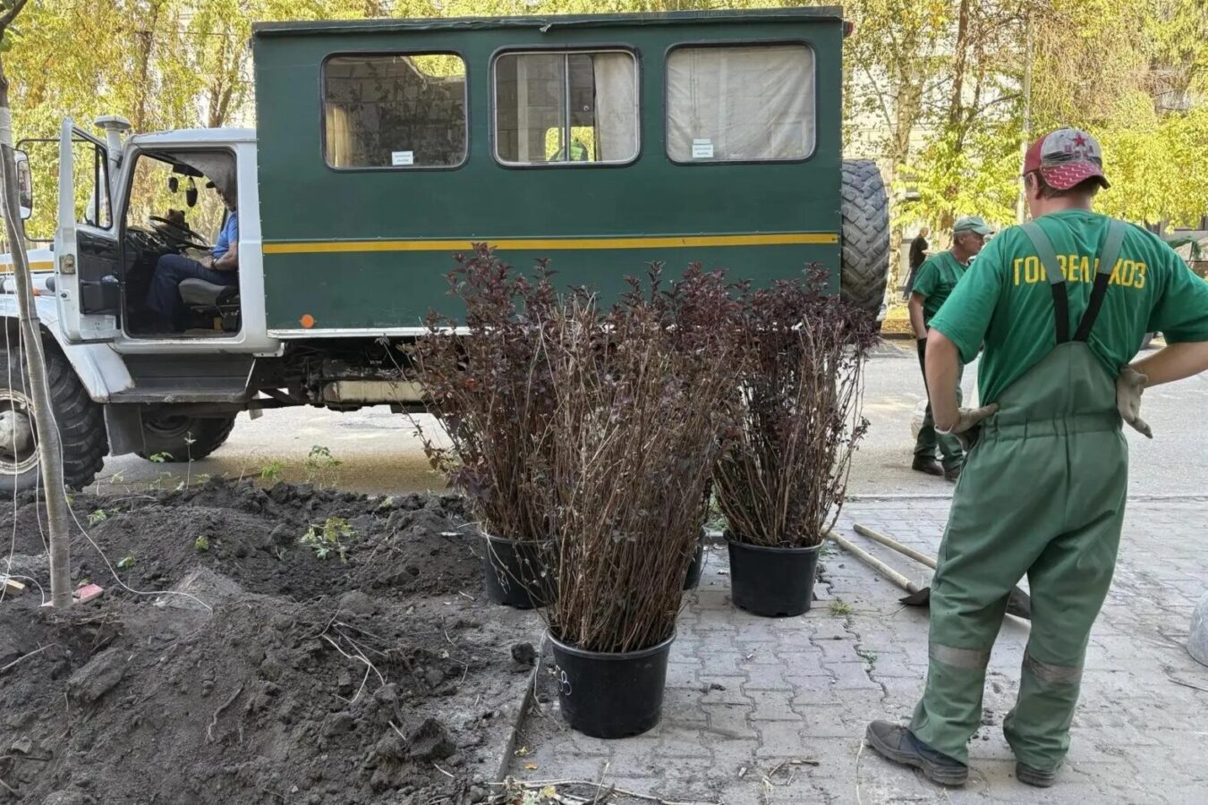 Знакомства Для Мжм Новосибирск Знакомства Для Мжм Новосибирск