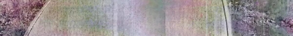 В Коченевском районе НСО пьяного водителя лишили машины IMG_20260918_102304 (1)