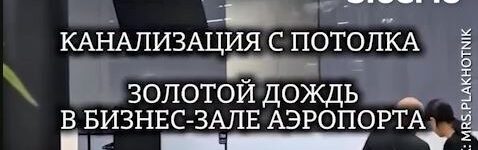 Бизнес-зал в Толмачёво затопило дождём — в аэропорту объяснили ЧП Снимок (19)