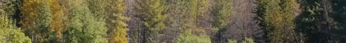 осень пруд в Академгородке с ватерзнаком