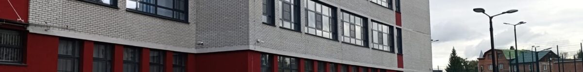 школа 185а дети много