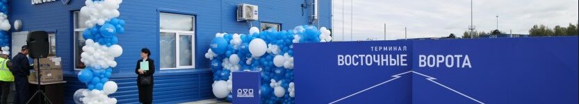 В Новосибирской области открылся новый контейнерный терминал «Восточные ворота» восточные ворота