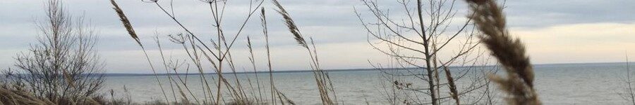 Истек срок давности: экс-главу Мичуринского сельсовета не накажут за аферы с землей под Новосибирском Истек срок давности: экс-главу Мичуринского сельсовета не накажут за аферы с землей под Новосибирском