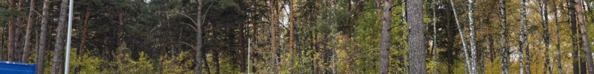 Проблему незаконной вырубки возле парка "Сосновый бор" обсудили в новосибирском правительстве IMG_20261014_114720