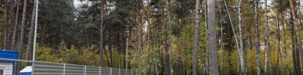Более 6000 тысяч новосибирцев борются за сохранение Соснового бора IMG_20261014_114720-600x450