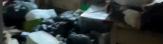 В Новосибирске волонтёры спасли 17 кошек из адского приюта адский приют для кошек