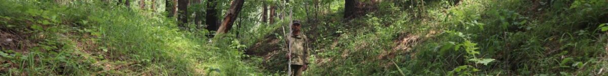 В Кудряшовском бору под Новосибирском нашли средневековый памятник археологии кудряшоский бор 2 6 окт