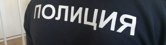 Под Новосибирском 18-летняя мошенница обокрала пенсионерку почти на 2 млн рублей полиция