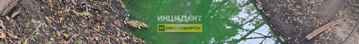 Река Тула в Новосибирске окрасилась в зелёный цвет река Тула зеленая вода