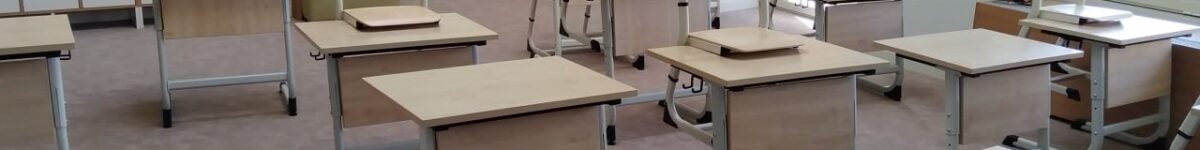 У новосибирских школьников с завтрашнего дня начнутся каникулы школа А парты 1 класс фото мэрия Новосибирска